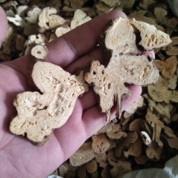 白术一等干货20~25克
