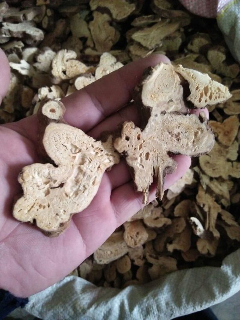 白术一等干货20~25克