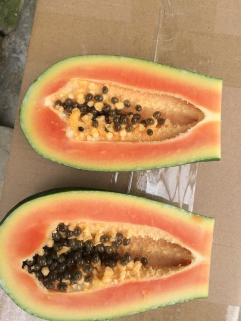 水果木瓜