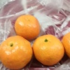 鑫业鲜活农产品的一亩田店铺