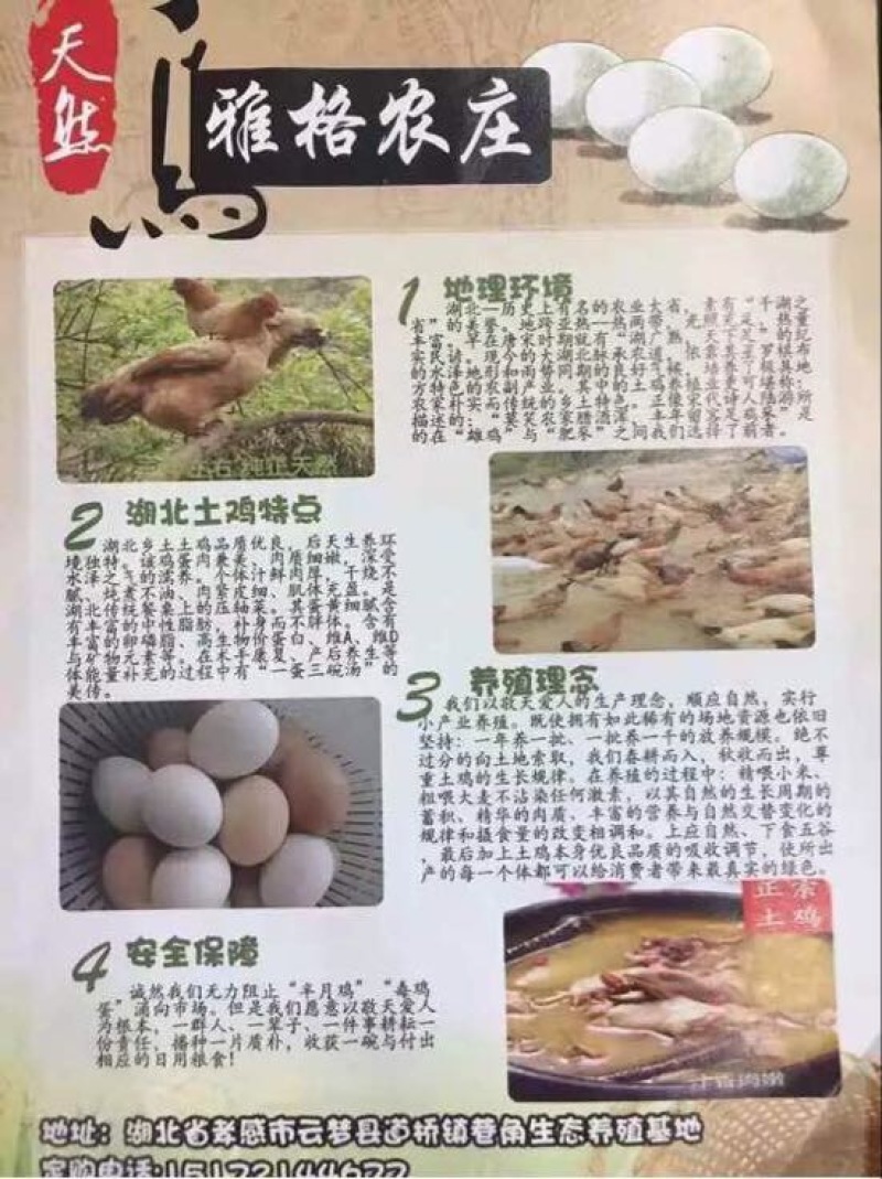 土鸡蛋