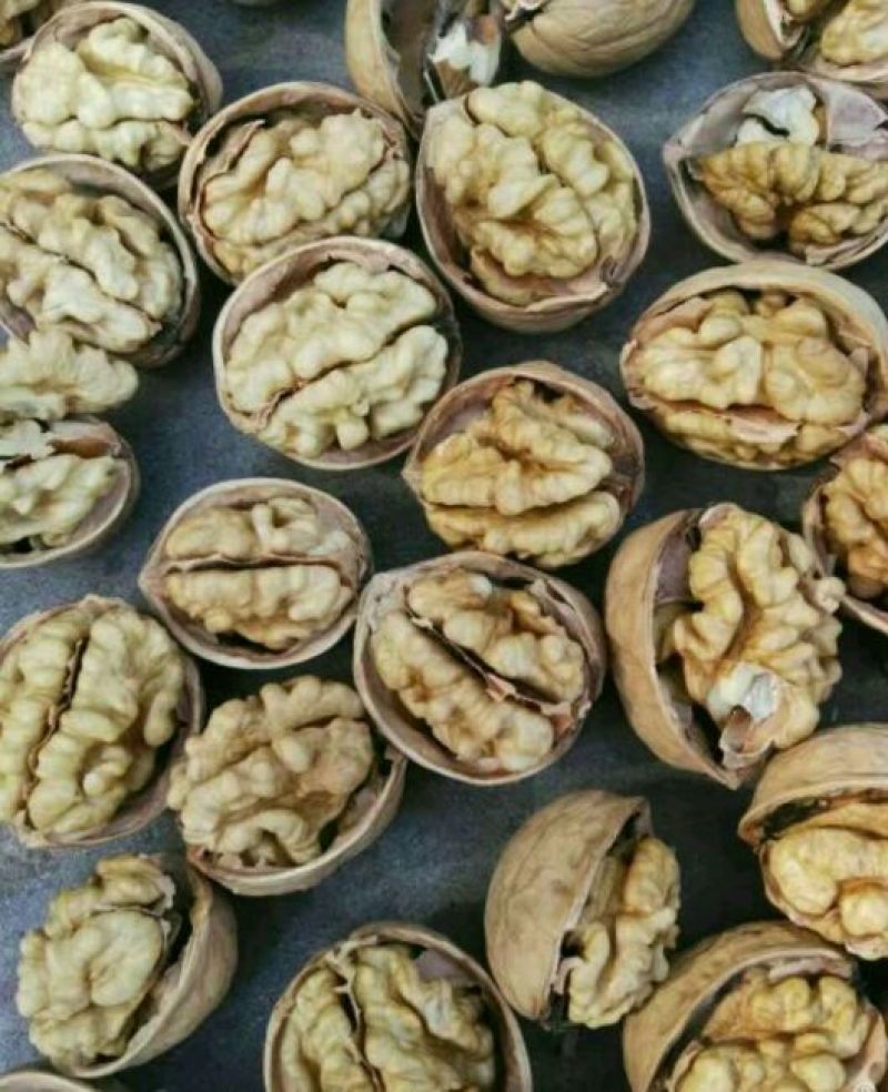 薄皮核桃去皮干