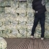 太和县星源种植专业合作社的一亩田店铺