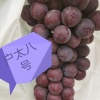 荥阳市户太家庭农场的一亩田店铺
