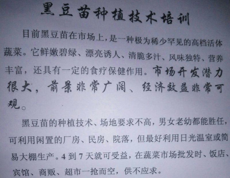 黑豆芽技术培训，本人有着十几年的过硬技术