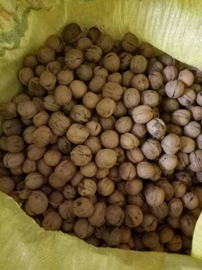 薄皮核桃30mm以上去皮