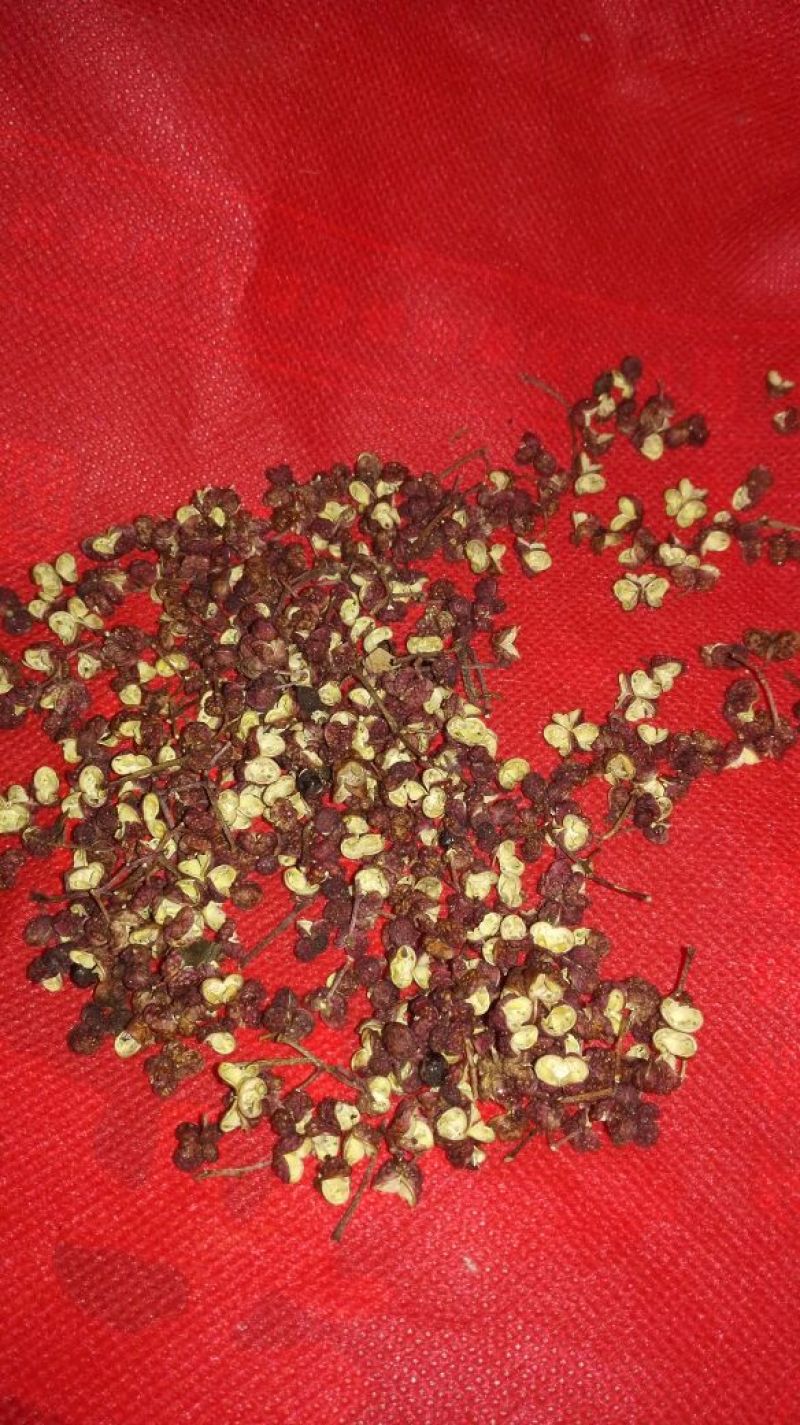 大红袍花椒一级