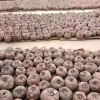 云南德泽生态农业有限公司的一亩田店铺