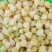 甜菇茑5~10mm