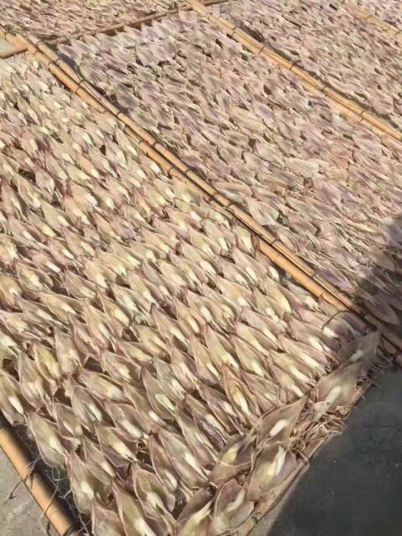鱿鱼干散装