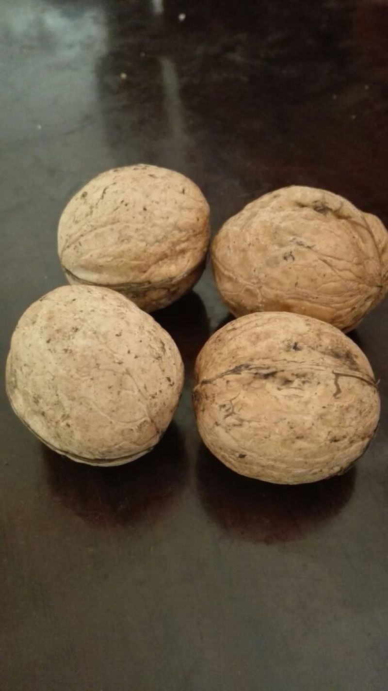 薄皮核桃去皮