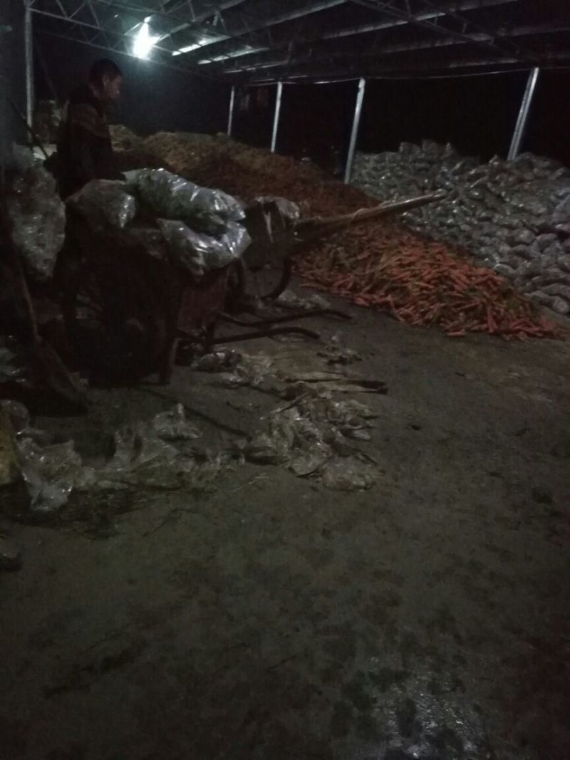 胡萝卜2两以上带土10厘米以3，各种包装，土货水洗