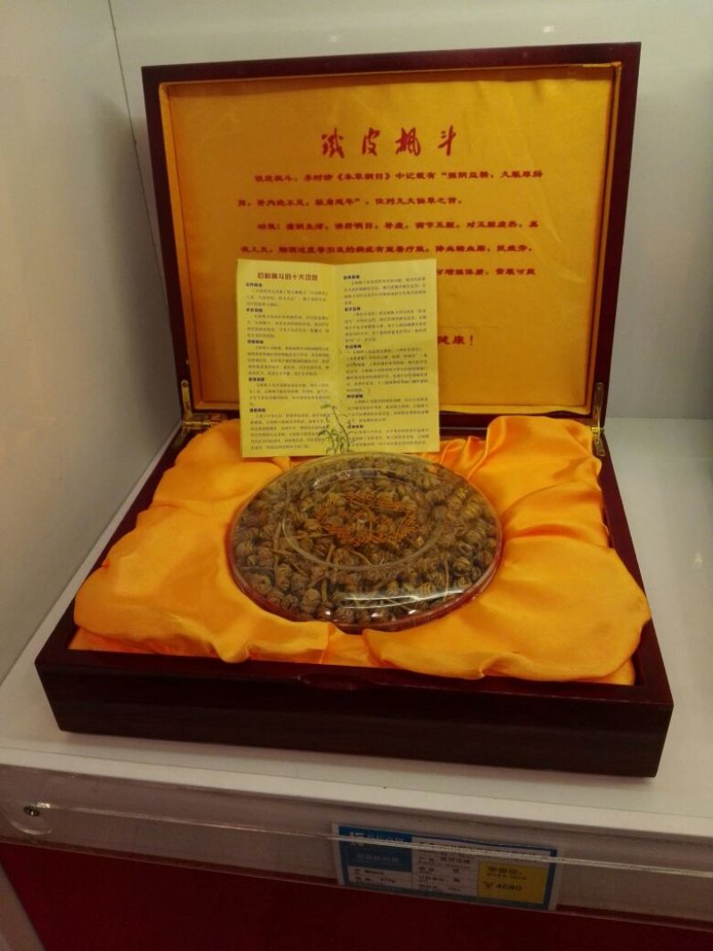铁皮石斛盆