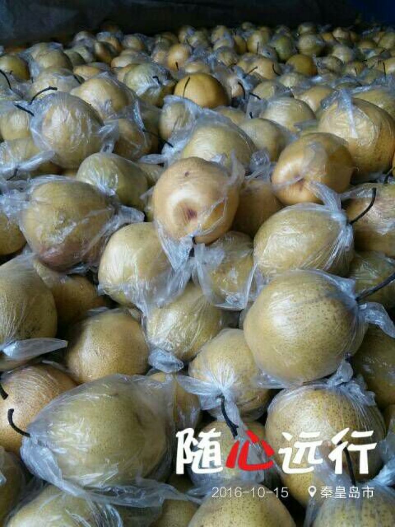 雪花梨200~250g膜袋
