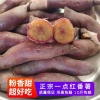 游客5018的一亩田店铺