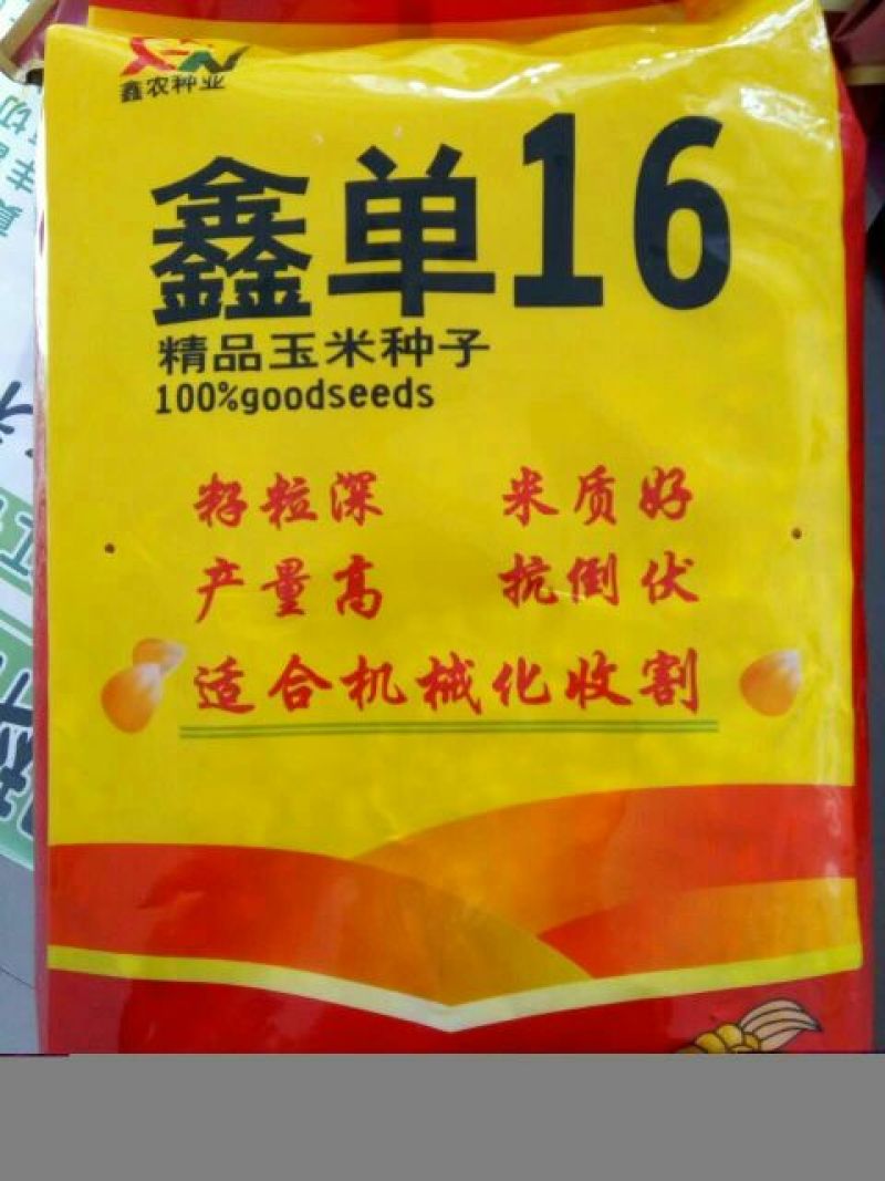 玉米种子97%