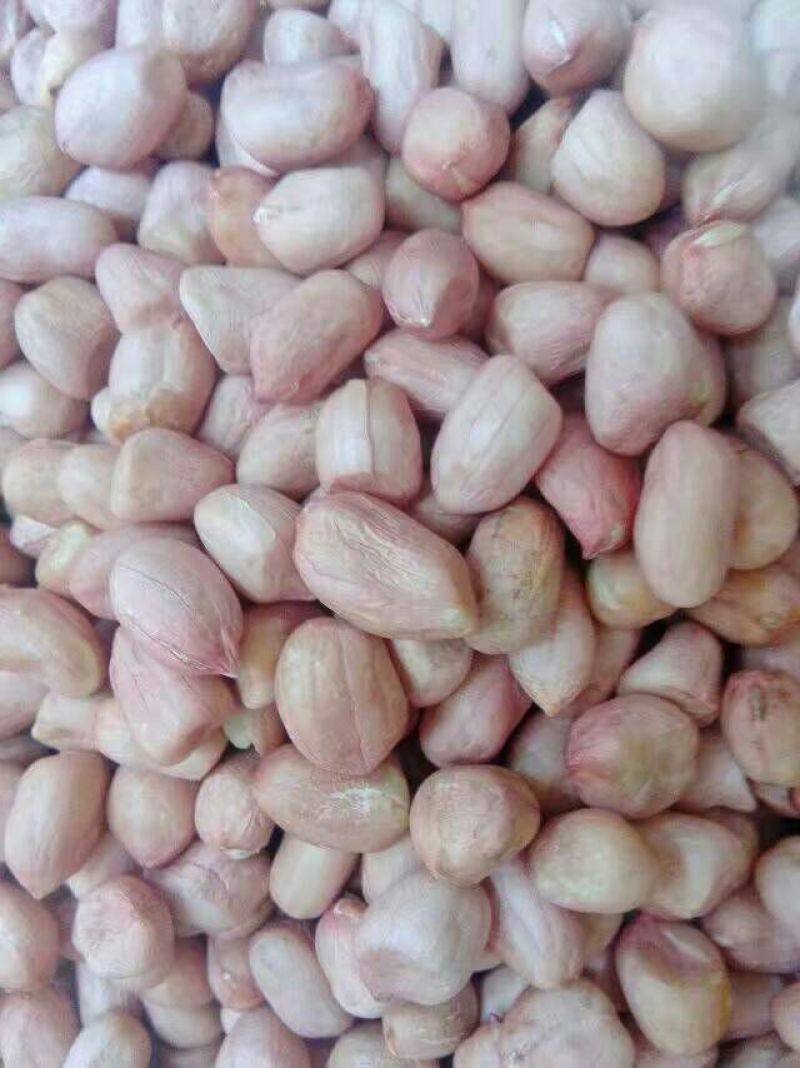 大粒花生米白皮