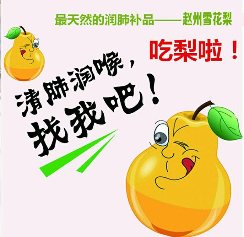 早酥梨