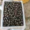 裕达水产品经营部的一亩田店铺