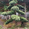 欧代胜的一亩田店铺