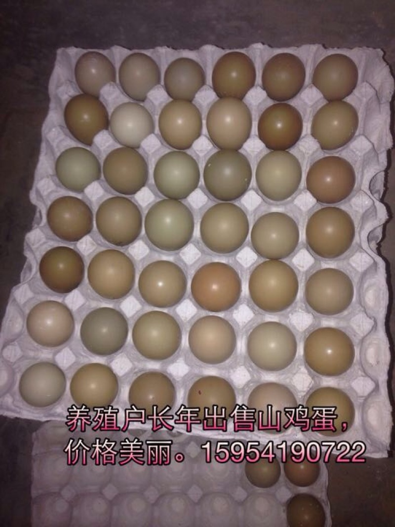 野鸡蛋