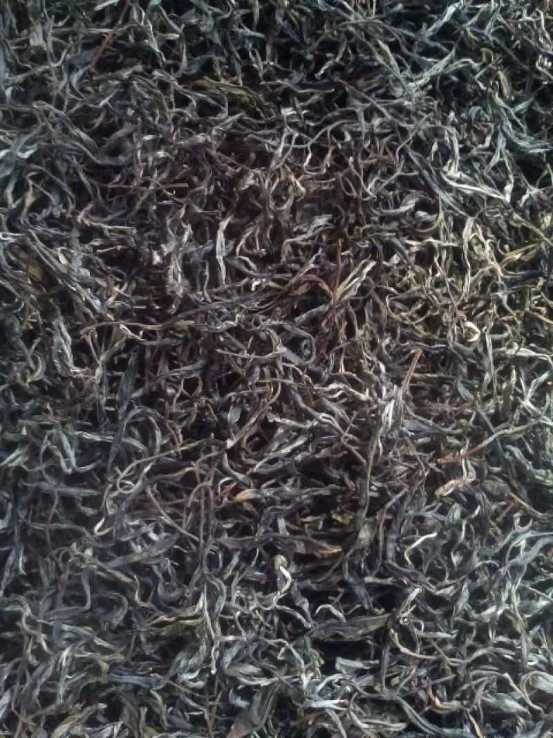 百年普洱大树茶各种检测检验合格