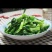 菜苔15~20厘米