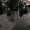 游客2195的一亩田店铺
