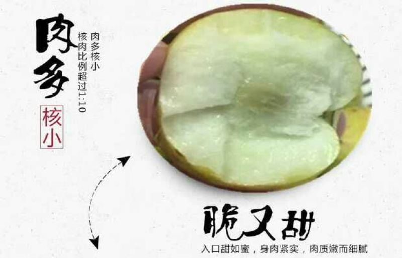 大荔冬枣拐123通货