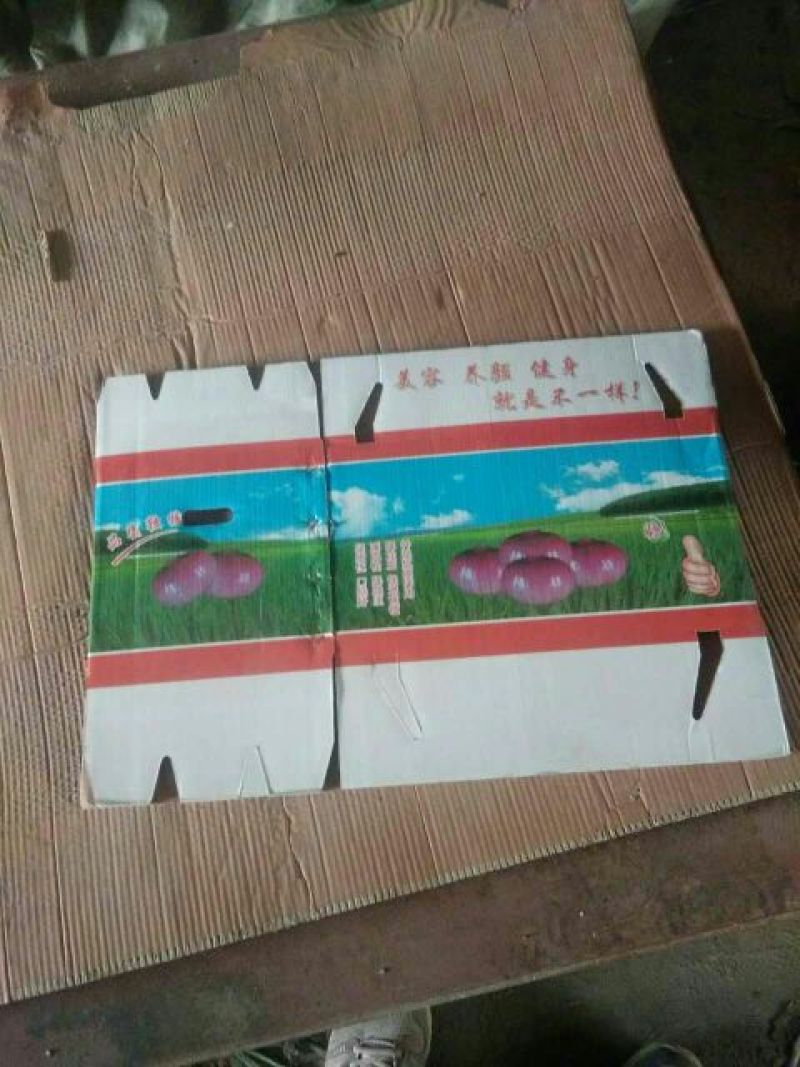 纸箱1号（530*290*370）