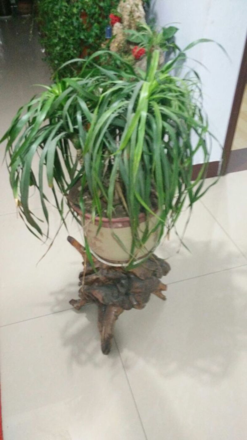 根雕茶几