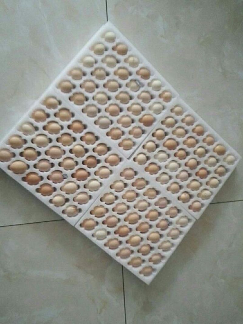 土鸡蛋食用50g以下