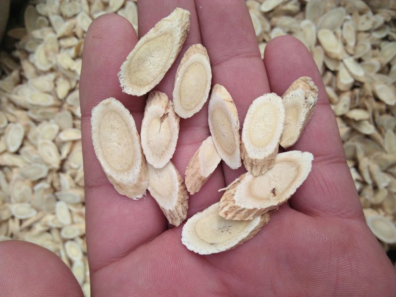 黄芪切片1cm