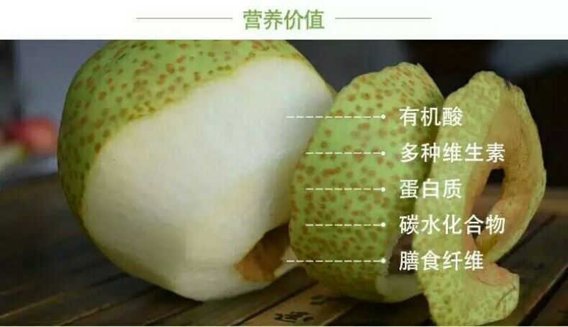 莱阳梨350~400g膜袋
