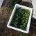 秋菠菜15~20厘米