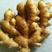 保鲜大黄姜产地大量批发价格便宜全国物流发货