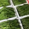潘祖荣的一亩田店铺