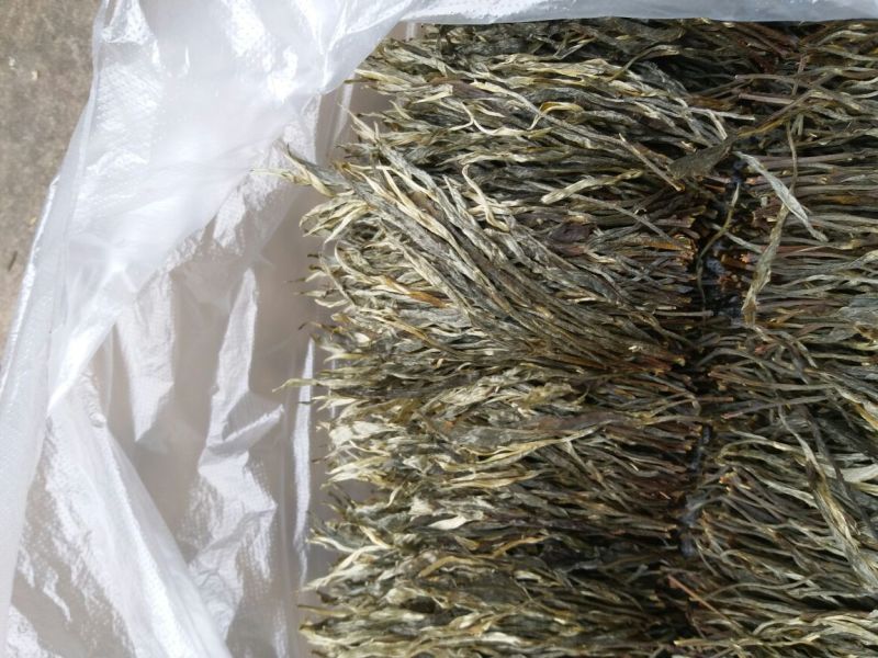 普洱茶散茶
