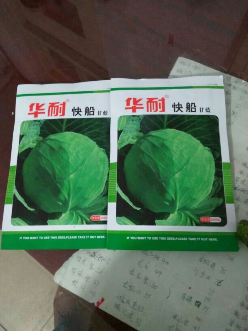 甘蓝种子甘蓝种子华耐亚瑟王精选266明珠甘蓝华耐