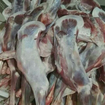 羊后腿绵羊肉是