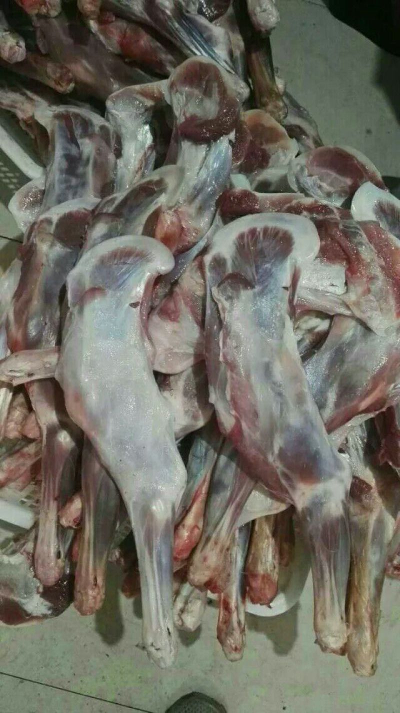 羊后腿绵羊肉是