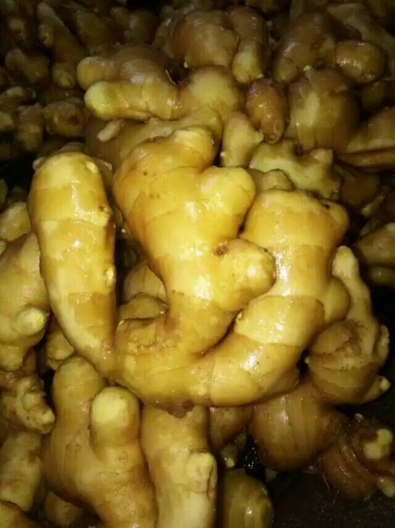 生姜