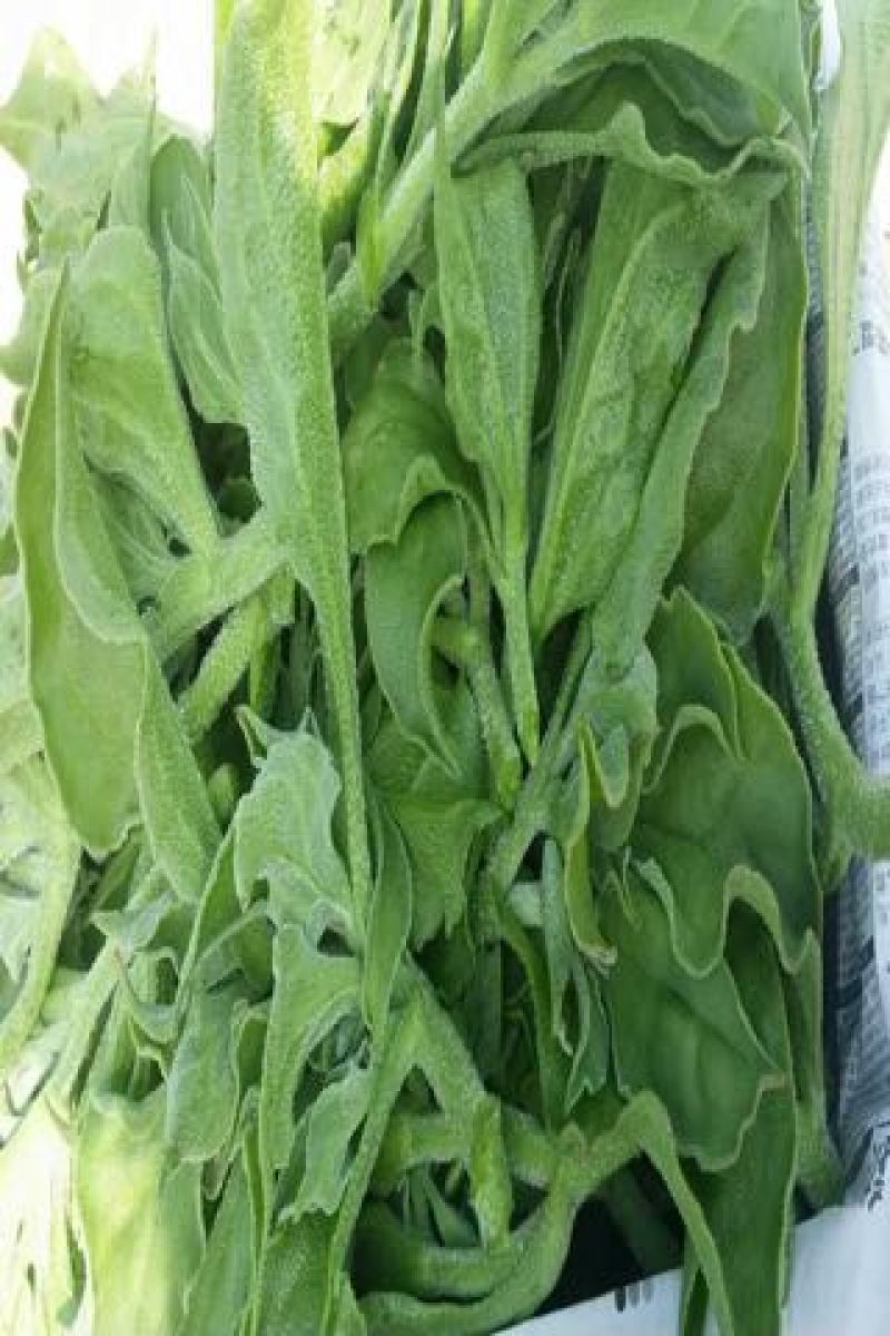 蔬菜