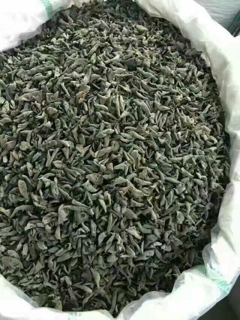 黑木耳特级