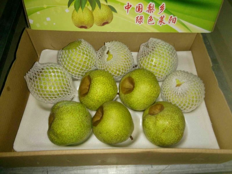 梨300~350g纸箱