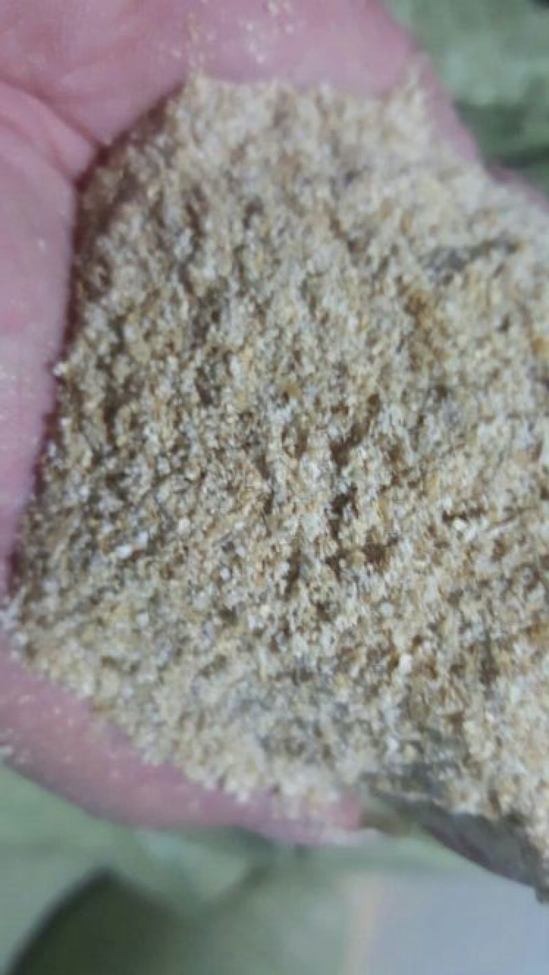 麦麸一级