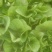 蔬菜
