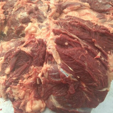 马肉鲜货