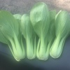 田荣光的一亩田店铺