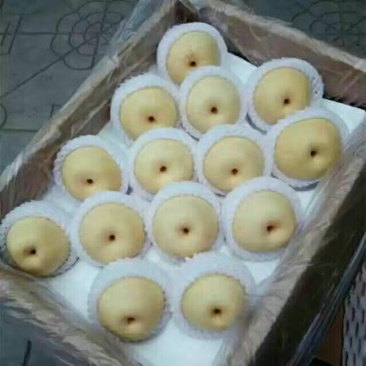 皇冠梨300~350g纸箱